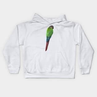 Green Cheek Conure Parrot Bird design, Love for birds Kids Hoodie